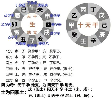 卯 五行|十二地支藏干 十二地支五行属性对照表